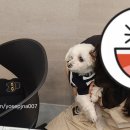 365동판교동물병원 이미지