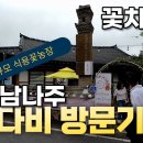 국내최대 식용꽃농장 (전남나주) 꽃다비를 찾았습니다#꽃차 조회수 572회 8일 전 이미지