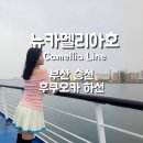 호금교 공중화장실 | 부산 일본 배편 뉴카멜리아호 타고 하카타항까지! 2등 침대실 리뉴얼까지 정보 대방출