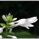 행복한아침 이미지