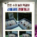 와룡총각 네이버블로그