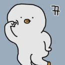 복희점핑다이어트