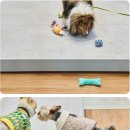 (주)마루펫 이미지