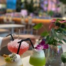 제이앤제이슨 이미지