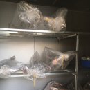 전원사슴농장 이미지