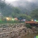 천룡펜션 네이버블로그