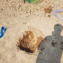 화룡점 기아오토큐 이미지