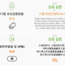 (주)조이셀 네이버블로그