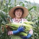 박경자농장 이미지