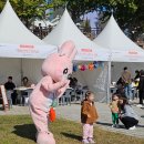 연극마을문화공동체협동조합 | [공지] 충남 행사기획 공연기획 전문 단체 <협동조합 나빌레라>