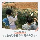 인천목장 | 인천 아이와 가볼만한곳!✨늘솔길공원 양떼목장 무료 주차 및 이용시간 총정리