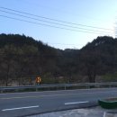 물안골송어회 이미지