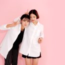 미스터포 이미지