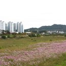 문산천 이미지