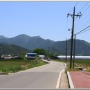 군북-5 티스토리