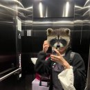 세용농장 | 호주 워킹홀리데이 농장 생활 시작👩‍🌾 (feat. 시드니에서 콥스하버 가는 법)