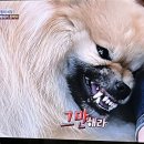 박의사농장 이미지