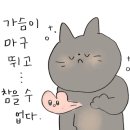 로하 살롱