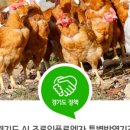 비엔씨방역