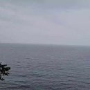 구디너프 이미지