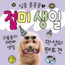 이벤트 - 목포시 차범석길 41 | 이벤트