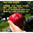 과수원 - 용인시 기흥구 강남서로58번길 3-2 | 과수원