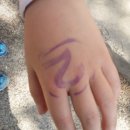 위례초등학교 이미지