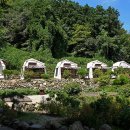 돌담농장 이미지