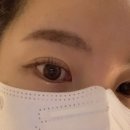 세니브로우
