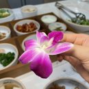 수라식당 이미지