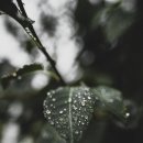 금오타일 이미지