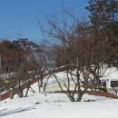 정이네유통 이미지