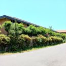 제주 조이황토리조트 이미지