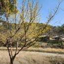 수타계곡돌집쉼터 | 6월 홍천 수타사 계곡 여행기! 천년고찰과 함께 걷는 시원한 산사 산책코스