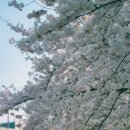 지에스25 천안원성천점 이미지