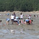 [월하성마을]자하잡이체험 네이버블로그