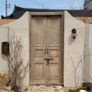 몽몽잇 | 전주 애견동반 숙소 “새와하루”