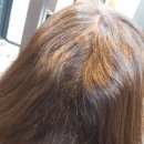 연산백련로 이미지