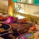 소중한 댕 이미지