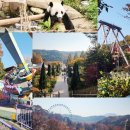 에셋코너스톤 | 2025.10 ~2026.01의 기록