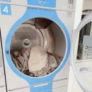 전농세탁 이미지