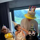 반려견과 호텔 숙박, 반려동물 친화 숙소 리스트