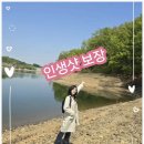 역사문화(동춘당) | 봄힐링 대전여행 당일치기 대청호 동춘당 선교사촌 미식투어까지