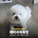 평전로 | 김해 외동 애견미용실목욕강아지 추천 | 예민한 반려견 목욕, 깨비네목욕탕 솔직후기