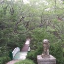장복산조각공원 티스토리