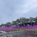 양지천 | 순창 양지천나들이 (순창당일치기)