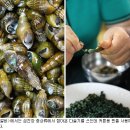 [우리땅 이맛] 전주 ‘국일떡갈비’ 다슬기수제비탕 이미지