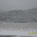 수하2리 마을회관 이미지