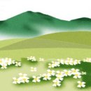 오늘도푸른 이미지