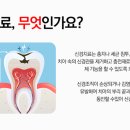 분당지세븐치과